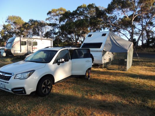 Avan Turners Beach Berryfarm